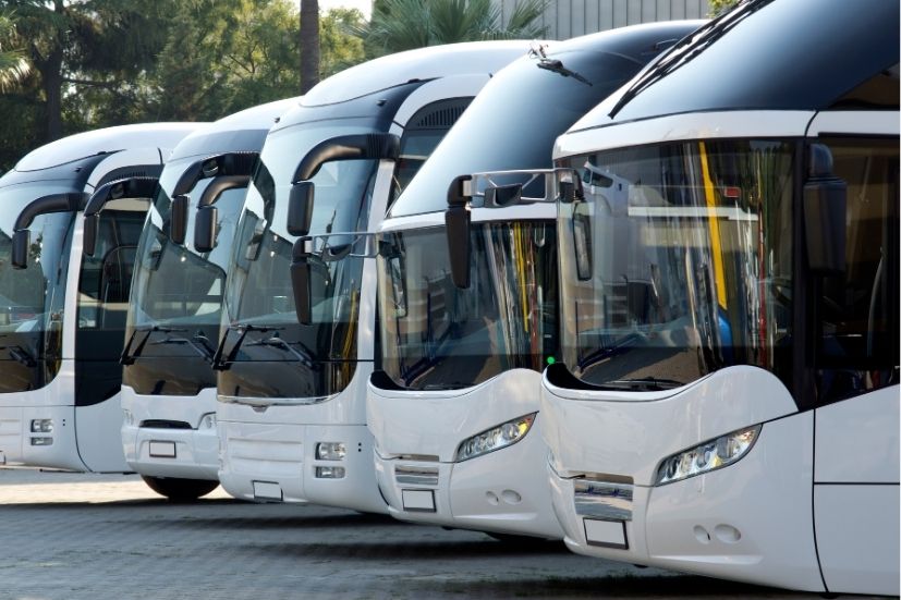 Chińskie autobusy Zonson w Iławie